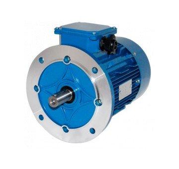 MS 100L-1.5кВт-6 (B5) Электродвигатель