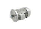 BN 71B 4 230/400-50 IP55 CLF B5
