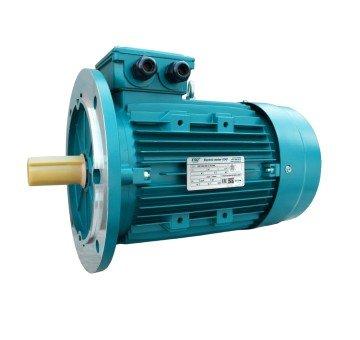 ESQ 200L4-SDN-30/1500 IM B35